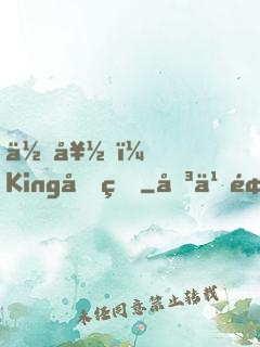 你好，King先生